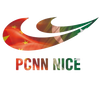 Pakchinapcnn